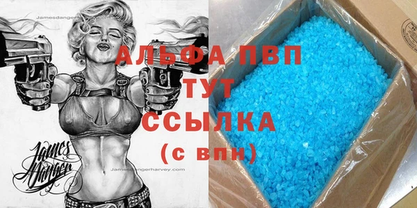 гидра Няндома