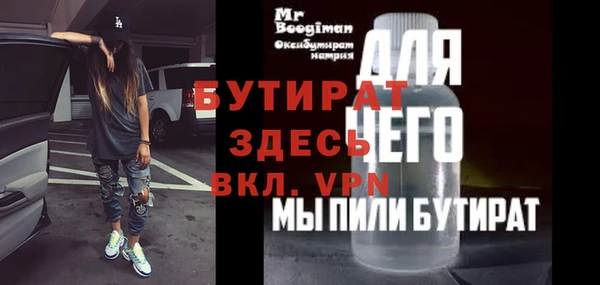 индика Алексин