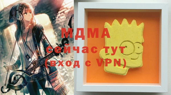 индика Алексин