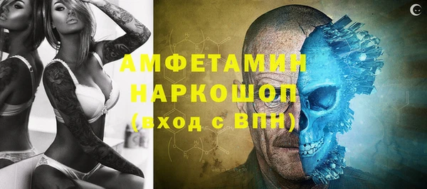 индика Алексин