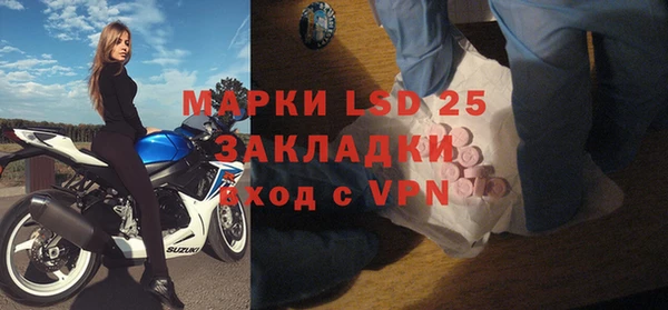 индика Алексин
